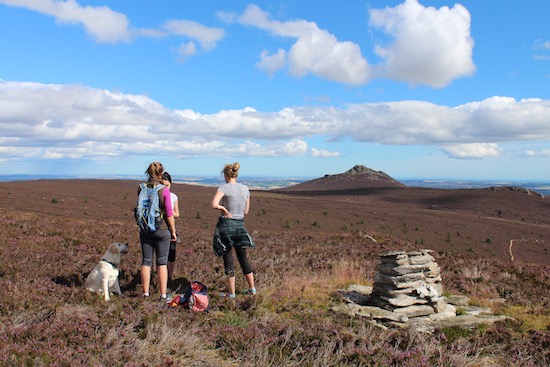 Photograph of Bennachie