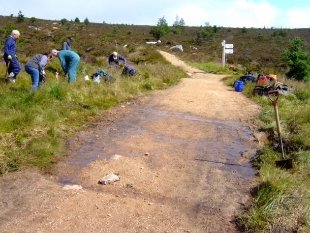 Work Party on Bennachie