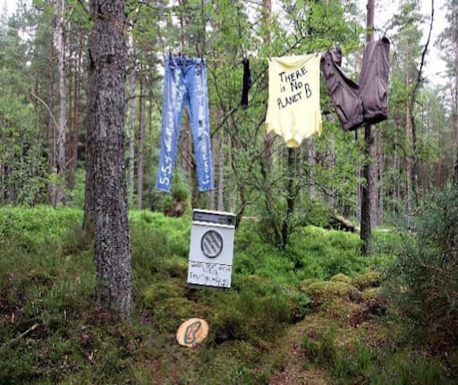 Carbon Footprint and Nature Trail on Bennachie