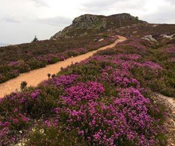 Bailies of Bennachie