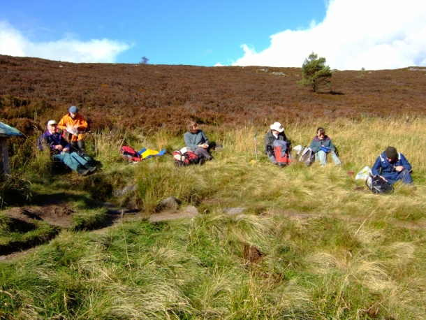 Work Party on Bennachie