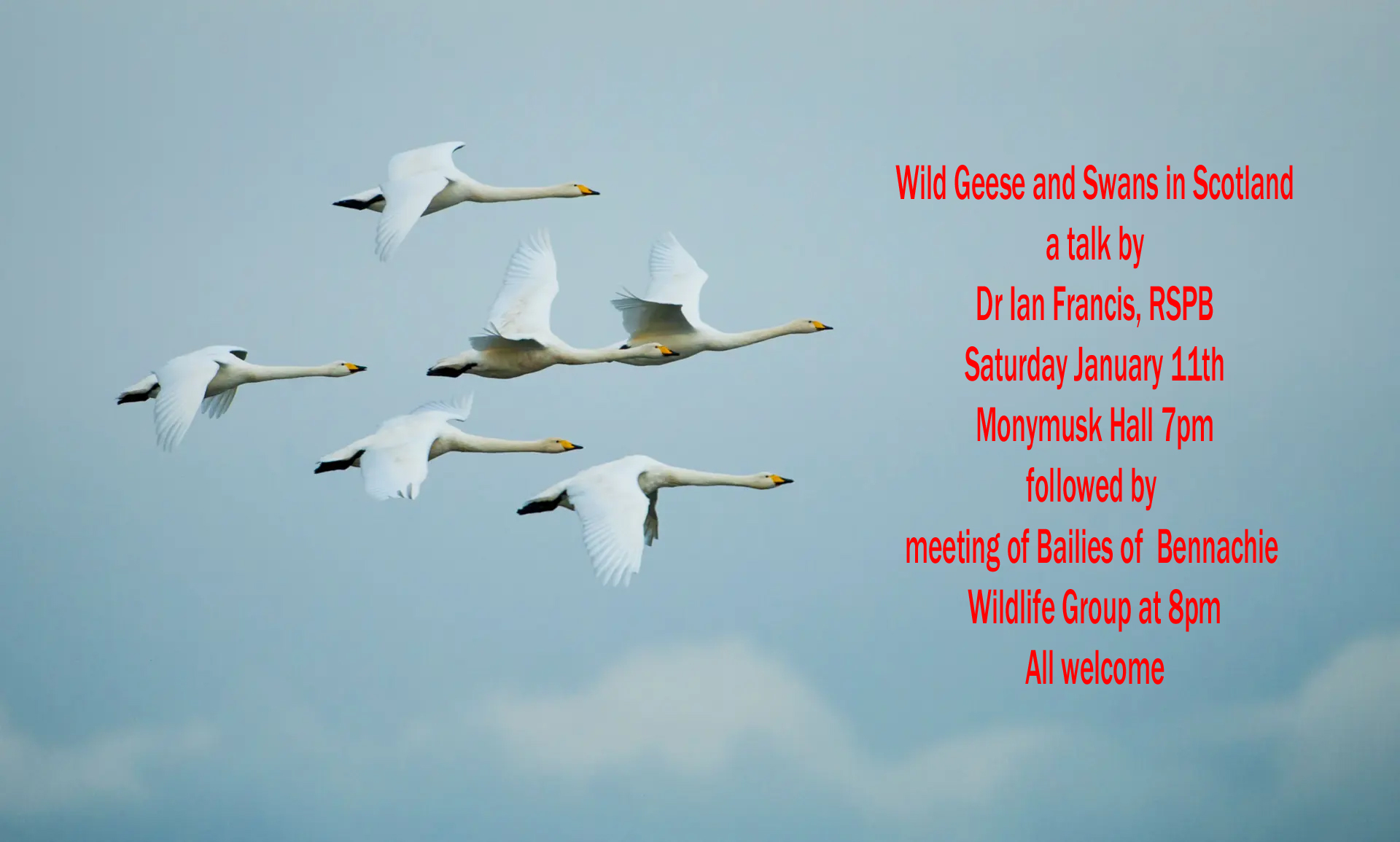 Wildlife Group: Talk on Wild Geese and Swans